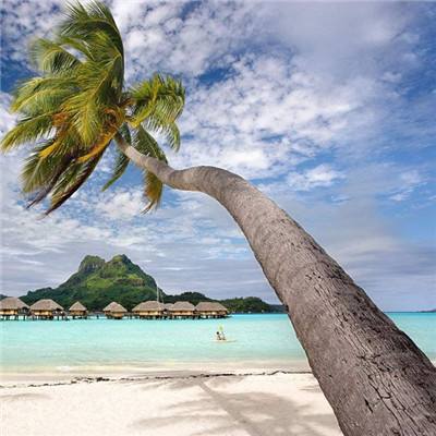 亚虎娱乐手机app下载